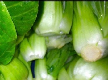 step3: 小棠菜12  條，洗淨作伴碟用。上湯2碗。油2湯匙。