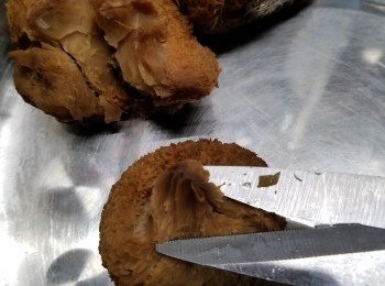 step3: 待略為灘凍後用較剪將猴頭菇剪去硬身頭部,猴頭菇的頭部不要掉,留待煲湯