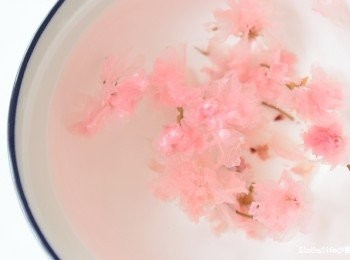 step1: 將數朵櫻花來回泡水數次洗去鹽份備用