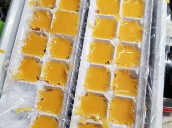 step43: 用製冰粒格舖上保鮮紙放上磅上,每一格磅上4-5g一粒,放入冰格雪至冰粒,然後包上奶黃餡(做法可與前面步驟一樣)焗法與前面一樣,此做法室溫亦可以有流沙效果,但因為沒有魚膠粉,會比較易融,所以要快手操作