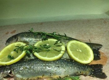 step3: 焗爐紙上依次序放上檸檬片及百里香 - 鱒魚 - 檸檬片及百里香包好，備用。