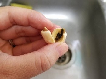 step2: 蓮子去芯備用