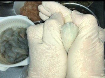 step3: 包餃子，可以向左、向右、向下、擠壓餃子形狀。