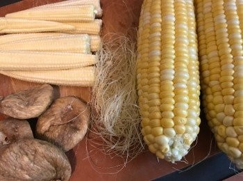 step1: 預備<span class="group_1">材料</span>