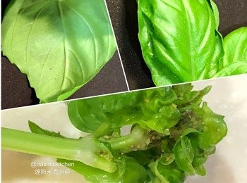 step6: 新鮮羅勒摘下、檢查是否有蟲害？！（特別注意葉片背面！）剔除受損葉片！稍微清洗並瀝乾水分