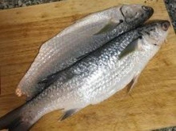 step1: 新鮮烏魚ㄧ魚二吃第二吃，請魚販幫忙開蝴蝶刀，取不帶骨的這一邊做乾煎，魚洗淨後擦乾，均勻抹上鹽。