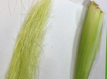 step1: 白鬚玉米筍