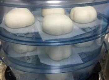 step19: 看到包子變大及<span class="group_2">包子皮</span>拋拋的有彈性即可開火冷水起蒸，17分鐘即可。