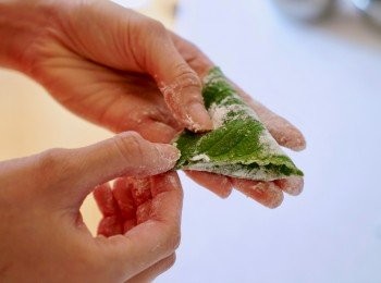 step8: 參照相片