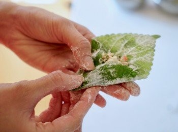 step7: 參照相片