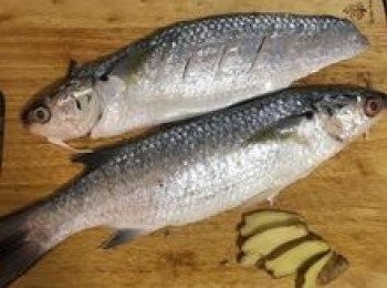 step1: 新鮮烏魚ㄧ魚二吃第一吃，請魚販幫忙開蝴蝶刀，取帶骨的這一邊做清蒸（魚太大所以自行切成兩截），薑洗淨切片。蔥洗淨切段。辣椒切斜片備用。