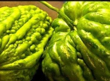 step3: 豆豉蒜蓉肉排炆苦瓜：
雷公鑿苦瓜2個，去籽及刮去瓜襄，洗淨切成一塊塊，用少許鹽醃10分鐘後，以清水沖透，滴乾水份備用。