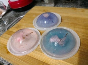 step1: 將白涼粉與水混合好煮至沸騰關火備用