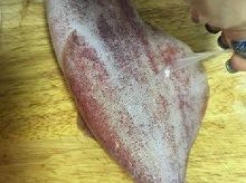 step2: 透抽要先剝除表面的透明薄膜；