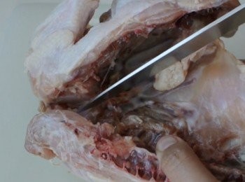 step3: 用刀切開這個軟骨位便可將春雞攤平