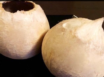 step1: 2個椰皇（椰子）。