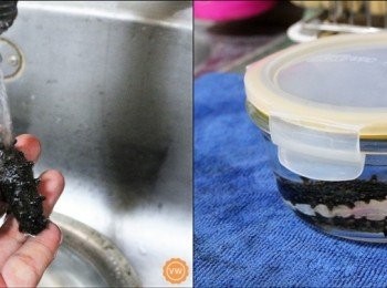 step7: 干刺參發泡方式：將刺參在水柱下沖洗至少１分鐘之後，需浸泡無油漬的鍋具中放至冰箱冷藏（或是-5。C冰水)至少36小時，期間需要換水兩次，使其泡軟。