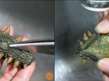 step8: 將泡軟的刺參從腹部採縱向的方式剪開，並去除前端的沙嘴後，剪斷內面的白色內筋，之後再用水沖淨。