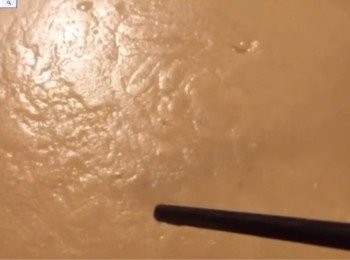 step19: 筷子插入 無黏即可
