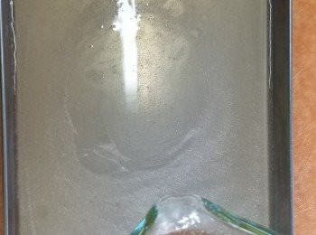 step2: 以微波爐600W煮1分鐘至溶，放涼。