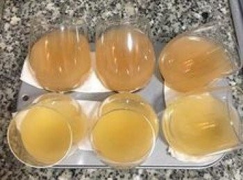 step6: 將愛玉水倒入杯子中，放冷藏1個小時以上，讓愛玉成凍（濃度越高結凍速度越快