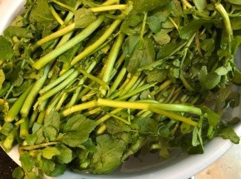 step3: 西洋菜浸水10分鐘，之後洗淨過水兩次
栗子、乾鴨腎、南北杏、蜜棗洗淨
陳皮浸軟刮去瓤