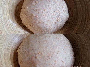 step4: 麵糰塗上少許橄欖油以防黏底，放在大碗內蓋上布或保鮮紙(上圖);焗爐預熱170度1分鐘後關掉，放入麵糰發酵1小時至1倍大(下圖)