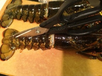 step1: 先用鉸剪在龍蝦中間位剪開，龍蝦頭都需要剪開，之後用刀斬開龍蝦備用。