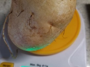 step10: 是用圖片中的沙葛