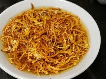 step10: 蟲草花