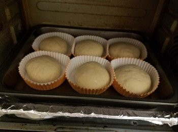 step9: 進行第二次發酵，約一個鐘或一倍大。