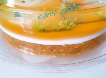 step4: <span class="group_1">透明部份</span>凝固後。。取出做天鵝..天鵝做法→https://www.youtube.com/watch?v=Akl5QMbY_VM&t=6s