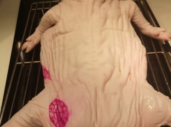 step3: 放入雪櫃雪過夜。