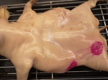 step9: 乳豬全身需要索走多餘水份之後，豬皮掃上皮水一次，放入雪柜10分鐘，雪櫃取出再一次掃上皮水，再次放入雪櫃風乾。時間約兩小時。