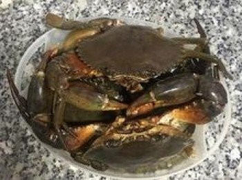 step1: 無論是選用肉蟹或花蟹或藍蟹都可以喔，差別就在於肉蟹能取得的蟹肉量還是比較多的！螃蟹刷洗乾淨後即可。