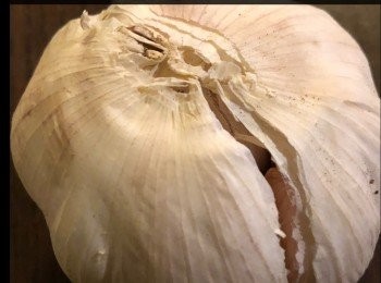 step2: 1顆切碎，而另1顆磨成蒜末。