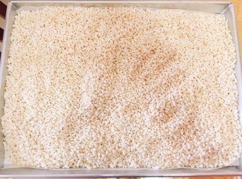 step2: 將脆米粒,熟黑芝麻,熟花生放入焗爐以上下火100度保溫，備用。