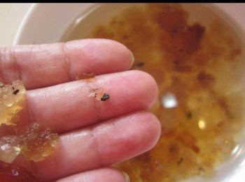 step1: 桃膠用清水浸過夜（至少12小時），然後把黑色雜質挑走