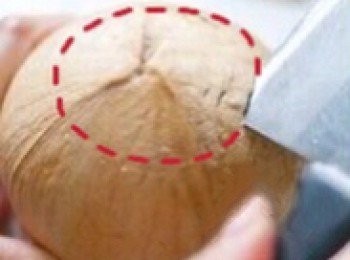 step1: 按圖中椰皇位置（三條直線～ 較為軟嘅部位），用菜刀沿紅色標示地方慢慢用力敲打，裂縫會沿紅色圓形位置出現。