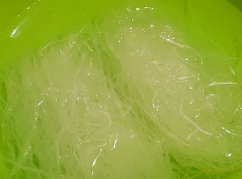 step2: 把粉絲浸軟備用