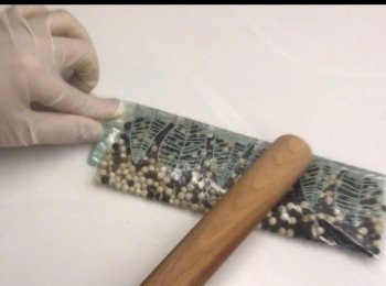 step2: 黑白胡椒粒放入食物袋，用棍充份把它打碎。亦可用現成已打碎的胡椒代替。