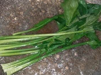 step4: 菠菜洗淨灼熟