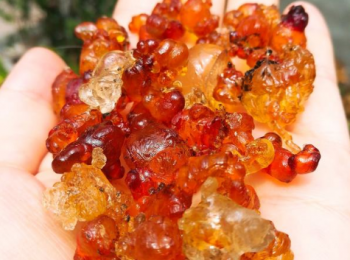 step1: 桃膠泡發，清除雜質，紅棗去核，洗淨