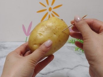 step1: 用牙籤喺薯仔表面刺上密集小孔