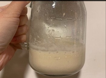 step5: 溫室放10小時後會有氣泡。