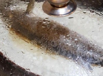 step1: 先把烏頭洗乾淨抹乾後，放入器皿中蒸15分鐘至熟，芫茜切碎備用