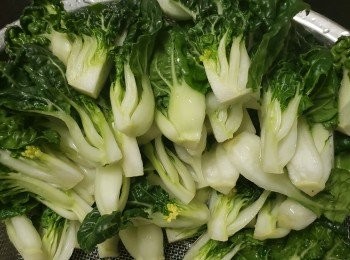 step5: 白菜膽