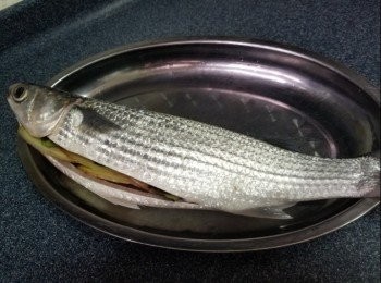 step1: 烏頭魚叫魚檔帮手處理內臟，不用去魚鱗；洗淨瀝乾水份，將[<span class="group_2">塞魚肚配料</span>：]擺入魚肚中