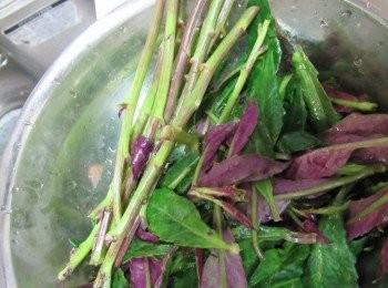 step1: 鳳紅彩洗淨去硬梗.