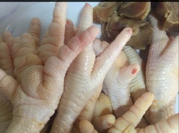 step2: <a href="https://bit.ly/3kLFTWO" target="_blank" data-keyword="雞腳" class="guide-link"><strong>雞腳</strong></a> <span style="display:inline-block;vertical-align:middle;margin-top:-3px;color:initial;border-radius:3px;padding:2px 3px;font-size:12px;line-height:14px;background:#87d300;color:#fff;">即買</span> 甲剪掉